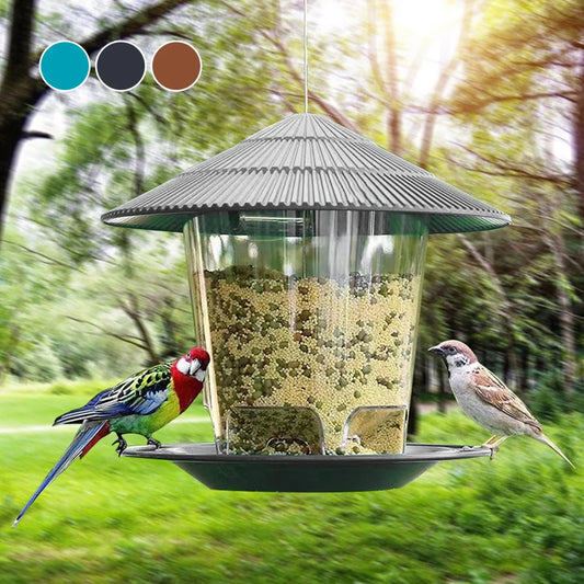 11-Bird Feeder Automatic.