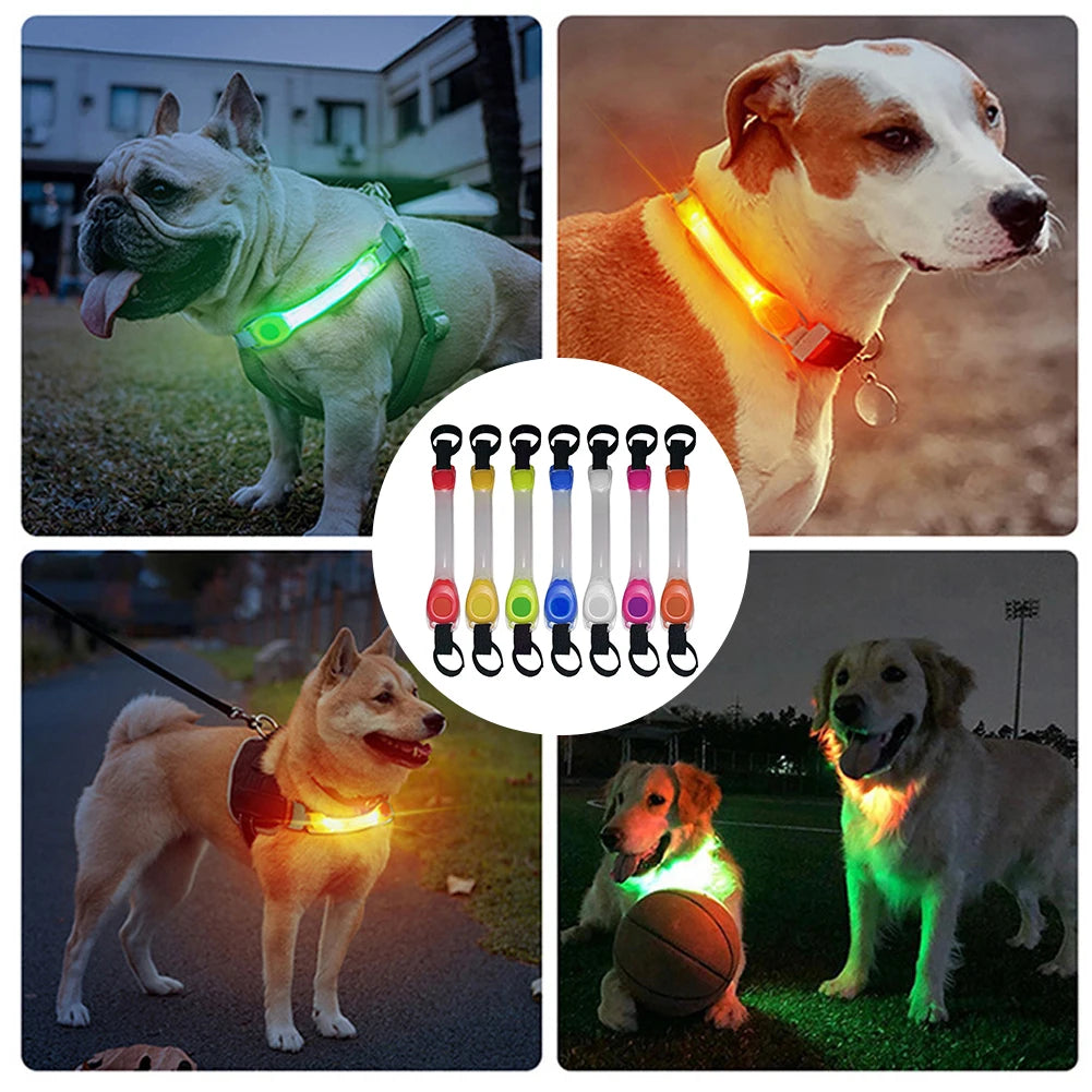 05-Anti-lost luminous dog collar.