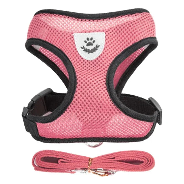 03-Breathable Harness with Leash for Cats and Small Dogs