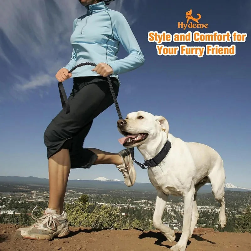 05-Adjustable Nylon Tactical Collar for Medium and Large Dogs