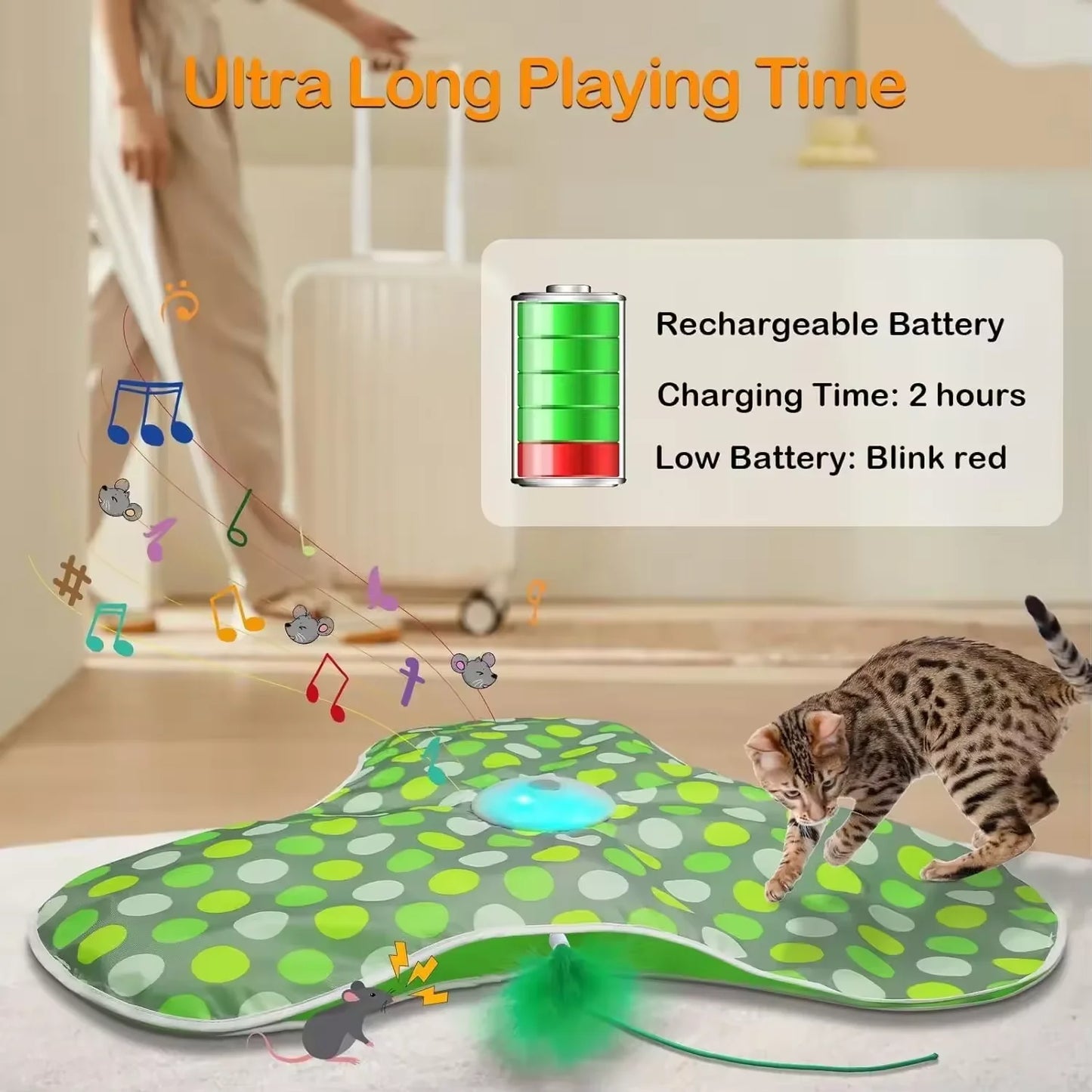 04-Interactive Cat Toy with Mouse and Moving Feathers
