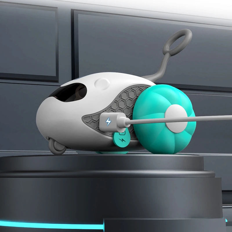 001- Automatic Interactive Cat Toy