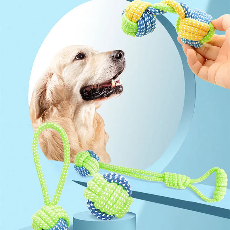 04-Gioco interattivo pet Toys.