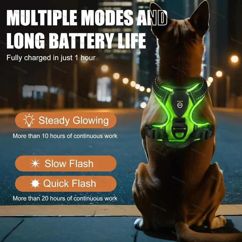 08-Pettorina LED ricaricabile per cani con 3 modalità di illuminazione