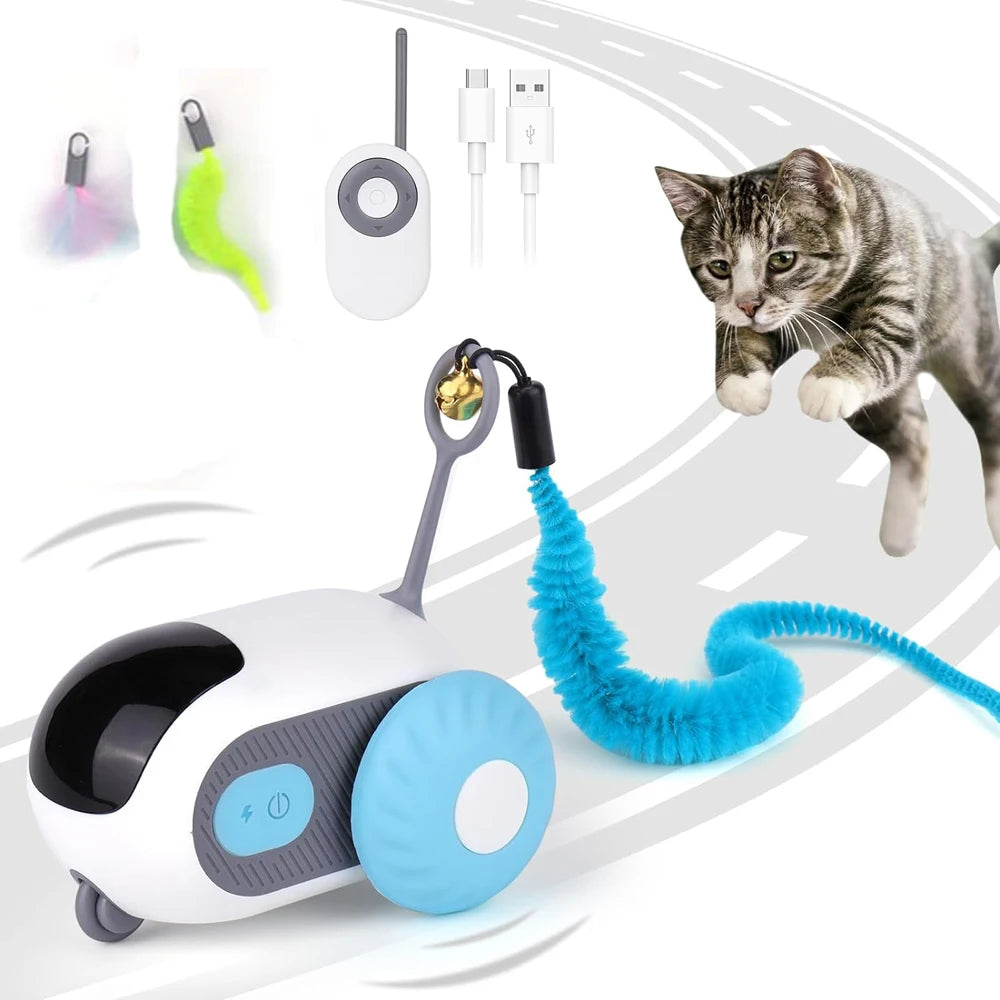 04-Interactive Cat Toy – Automatic Movement and Learning