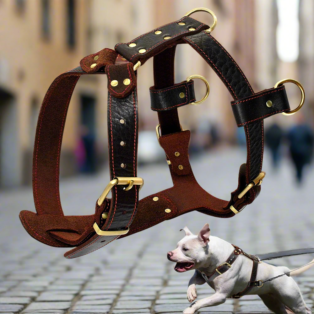03-Brown Leather Harness – Adjustable for Large Dogs