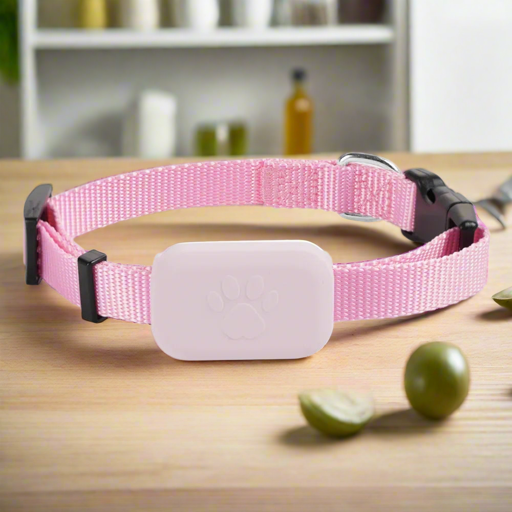 05-Bluetooth GPS Tracker Dog.